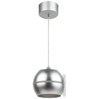 Подвесная люстра ЭРА PL21 SL GX53 Б0058505