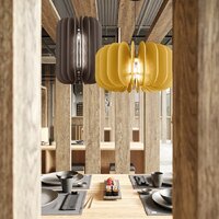 Подвесная люстра ST Luce SL3004.443.01