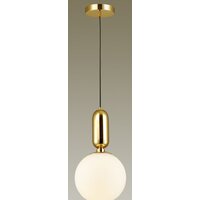 Подвесная люстра Odeon Light Okia 4669/1