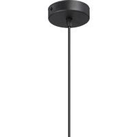 Подвесная люстра Vitaluce V2953-1/1S