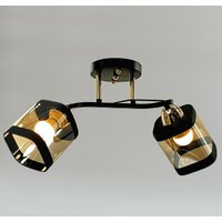 Люстра средней высоты Aitin Pro НПБ 02-2x60-101 9079/2 (черный/золото)