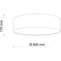 Припотолочная люстра TK Lighting Earth 4661