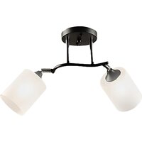 Припотолочная люстра Aitin Pro НПБ 02-2x60-101 K2316/2 (черный/хром)