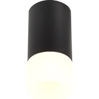 Припотолочная люстра ST Luce ST100.412.01