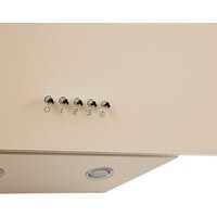 Кухонная вытяжка Making Oasis Everywhere NP-50I