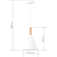 Подвесная люстра Evoluce SLE1255-413-01