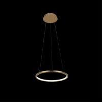 Подвесная люстра LOFT IT Ring 10014S