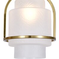 Подвесная люстра Indigo Light Aura V000595