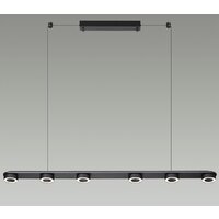 Подвесная люстра Odeon Light Turman 6631/64L