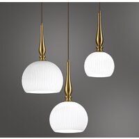 Подвесная люстра Odeon Light Runga 4767/1