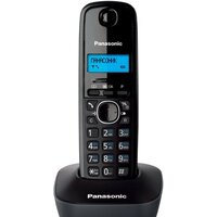 Радиотелефон Panasonic KX-TG1611UAH