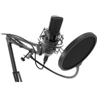 Проводной микрофон Ritmix RDM-169
