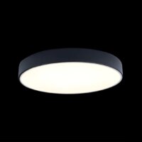 Светильник-тарелка LOFT IT Axel 10002/24 Black