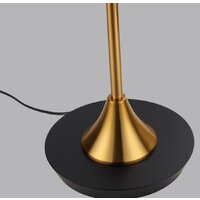 Торшер Odeon Light Bergi 5064/2F