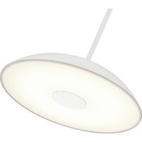 Припотолочная люстра ST Luce SL6128.503.01