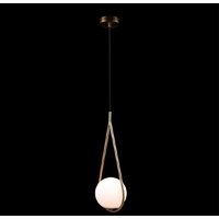 Подвесная люстра LOFT IT Glob LOFT2599-A