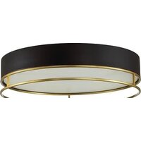 Припотолочная люстра Sonex Lofty 7723/100L
