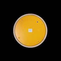 Светильник-тарелка LOFT IT Axel 10001/36 Yellow