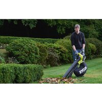 Садовая воздуходувка Ryobi RBV36B [5133002524]