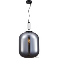 Подвесная люстра ST Luce Burasca SL1050.713.01