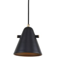 Подвесная люстра F-Promo Rigor 2844-1P