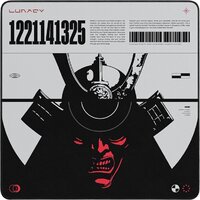 Коврик для мыши Lunacy CTRL Shogun L