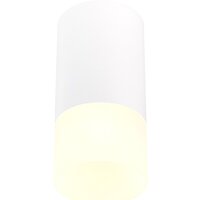 Припотолочная люстра ST Luce ST100.512.01