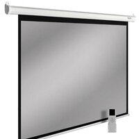 Проекционный экран CACTUS SIlverMotoExpert 150x200 CS-PSSME-200X150-DG
